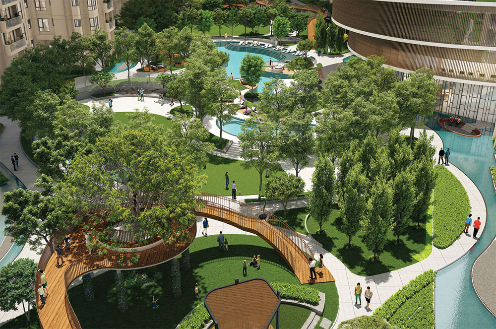 Tulip Monsella for sale